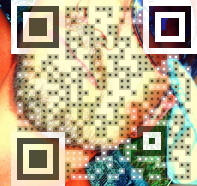 nedimaon Picture QR Code